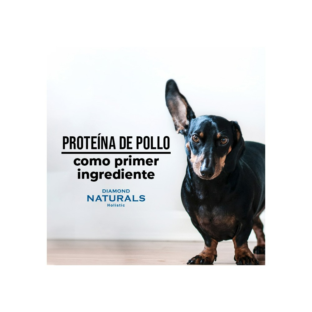 Diamond Naturals Small Breed - Alimento Para Perro Adulto Raza Pequeña Diamond Naturals Small Breed - Alimento Para Perro Adulto Raza Pequeña